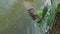 View of hippopotamus swimming in reservoir in zoo