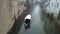 View of the historic center of mantua Italy that looks like Venice.