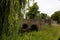 View of historic Nun`s Bridge, dating from 18th century. Thetford, Norfolk, UK