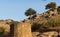 View of historical ruins and small olive trees captured in the temple of Athena at the ancient city of Assos