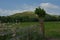 View of The Hoad Monument, Ulverston. Cumbria. UK