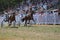 View on a Horse Racecourse