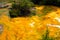 View on hot pool with yellow algae carpet