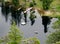 View of Hotel Lake, Sunshine Coast, BC, Canada