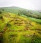 A view of Hound Tor in Dartmoor National Park is a vast moorland in the county of Devon, in southwest England