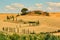 View of house with cypress trees in a field in the tuscan region