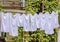 View of the household, white towels dries on ropes on clothespins