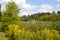 View of Houston Pond Gazebo Cornell Botanic Gardens