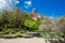 View of the Huerto de Calisto y Melibea a beautiful garden located in the old town and the Salamanca