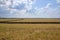 View of huge agricultural farm field in sun rays.