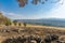 View of the Hula Valley and upper Galilee