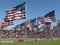 View of hundreds of American flags on a grassy lawn in Southern