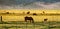 View of The Hunewill Ranch Near Bridgeport, California in late spring