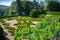 View of an iconic and geometric classic baroque garden