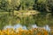 View of an idyllic park landscape in Leipzig,Germany