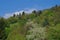 View of idyllic springtime landscape with blooming fruit trees on the hill, a small house, and a vineyard