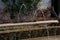 View if the Generalife courtyard Patio de la Acequia