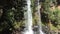 View of the Iguazu waterfall through the jungle foliage in the Iguazu national Park in Argentina