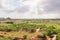 View of the indian rural landscape, Puttaparthi, Andhra Pradesh, India. Copy space for text.