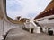 View of inner courtyard around stupa & stairs to circumambulatory path, Phra Pathom Chedi, Nakhon Pathom, Thailand