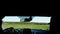 View from inside the car through the windshield. farmer rides through the green field, examines his land. summer day.