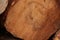 A view from inside a felled tree. a tree stump pattern. Texture of wood