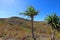 View of the interior landscape of an island of Fiji