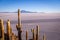 View from Isla Incahuasi, Uyuni, Bolivia