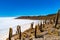 View of the Island of gigantic cactus Incahuasi in the middle of Uyuni Salt Flat