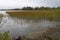 View from island of Kizhi to the reeds of Lake Ladoga