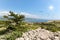 View from island Krk with rocky coastline and pine tree to dalmatian coast near Rijeka on Adriatic sea, Croatia Europe