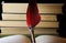 View on isolated antique red feather ink pen on pages of open book and piled books background