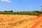 View of Istrian countryside