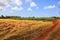 View of Istrian countryside