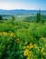 View of Jackson Hole, Wyoming