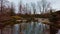 View of the Japanese garden pond surrounded by neatly trimmed trees in winter