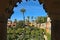 View at the Jardin de la Danza of the Alkazar of Seville