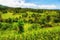 View of Jatiluwih rice terrace, Bali