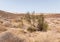 A view  of the Judean Desert from HaMinsara - a sandstone hill in the Ramon crater area, formed by the release of magma