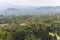 View on jungle around Borobudur temple