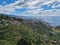 View jungle madeira trees cloudy bridge