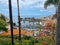 View jungle madeira trees cloudy bridge