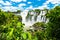 View from the jungle to Iguazu Falls in Argentina