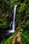 A view of Kaiate Falls in waitao in the western bay of plenty on the north island of new zealand 7