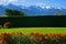 View Of Kaikoura Range At Sunset, New Zealand