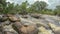 View of the Kalandula waterfalls on Lucala river, tropical forest and cloudy sky as background