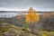 view of Karelia from the height of Mount Paaso near the town of Sortavala in golden autumn