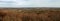 View of Kashubia from the observation tower. Forest and residential buildings in Central Europe