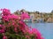 View of Kastellorizo Island with Pink Bougainvilleas