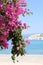 View of Kastellorizo Island with Pink Bougainvilleas